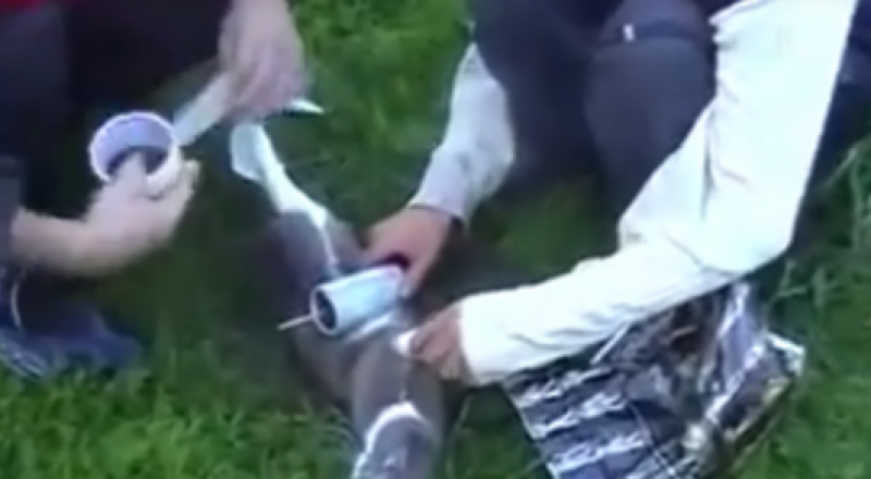 Кадр из ролика