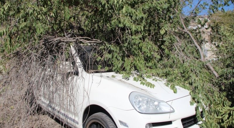 Фото с сайта lada.kz