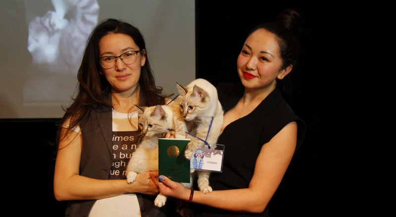 Фото Алишер Ахметов