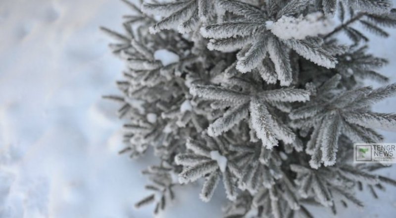 Фото Турар Казангапов©