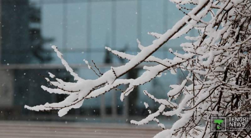 Фото © Tengrinews.kz