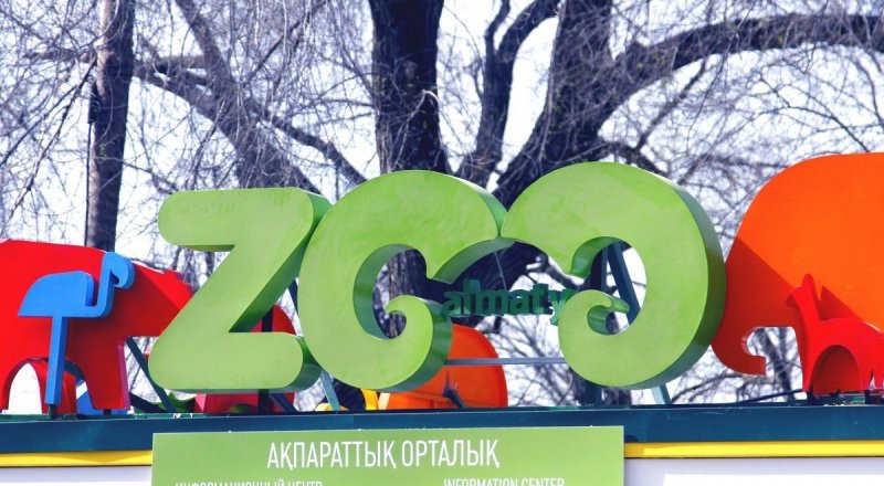 ©Айжан Тугельбаева