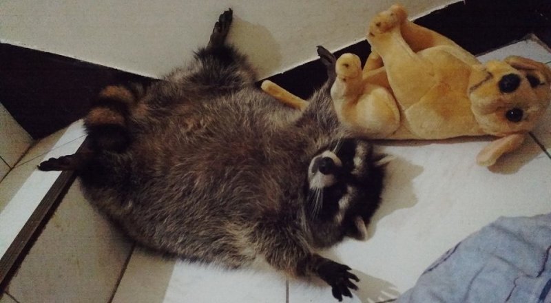 Фото из facebook.com