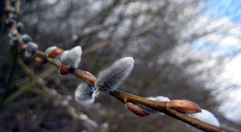 Фото с сайта zn.ua