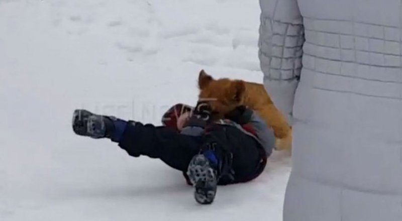 Кадр из видео с сайта youtube.com