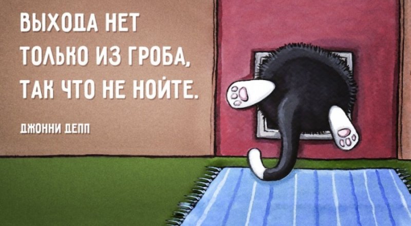 Фото с сайта AdMe.ru.