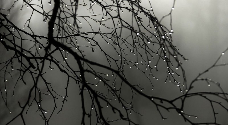 Фото с сайта almaty.tv