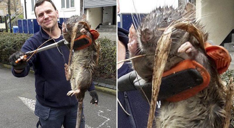 Фото Tony Smith/SWNS.com