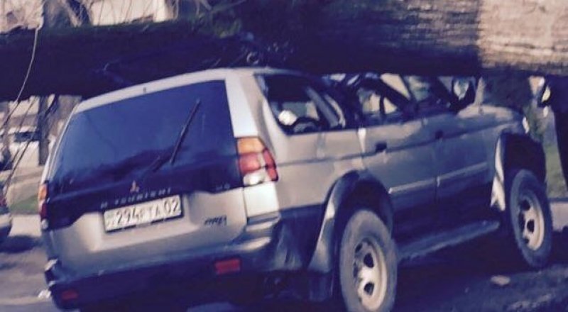 Фото Facebook/Gulnara Kunirova.