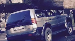 Дерево придавило внедорожник в Алматы