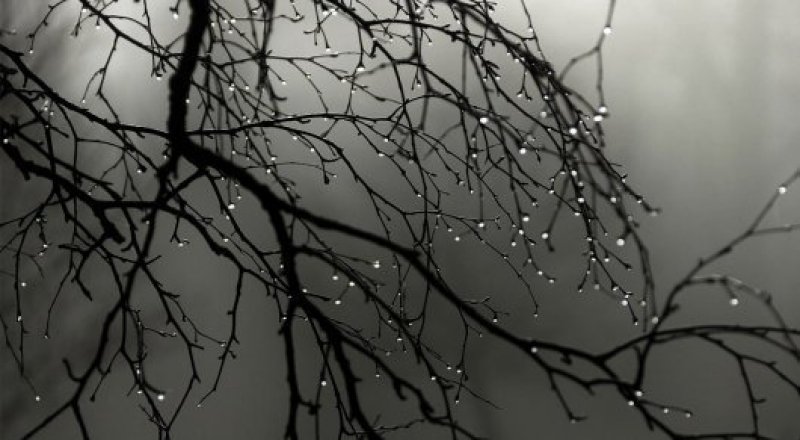 Фото с сайта: almaty.tv