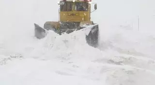 90 автолюбителей отказываются уезжать с КПП в Щучинске