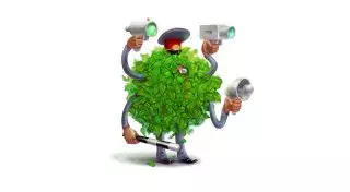 МВД будет пресекать действия полицейских, прячущихся в кустах