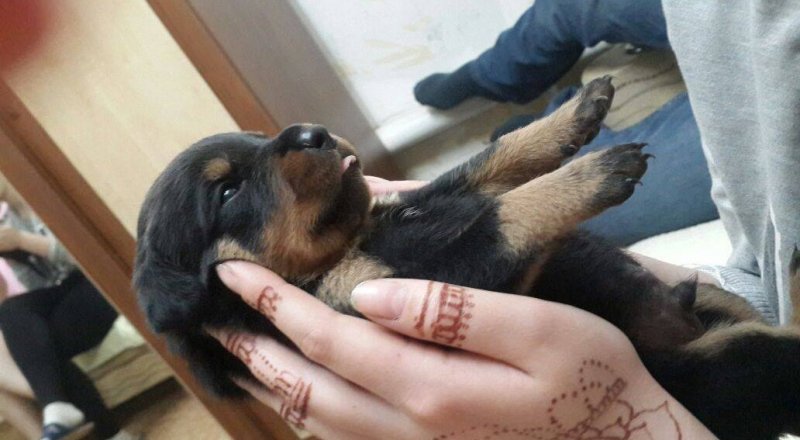 Фото facebook\Людмила Поротникова