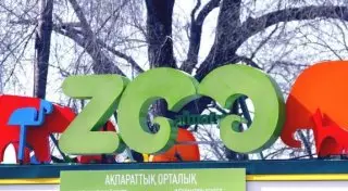 Крысиным ядом хотели отравить животных в Алматинском зоопарке