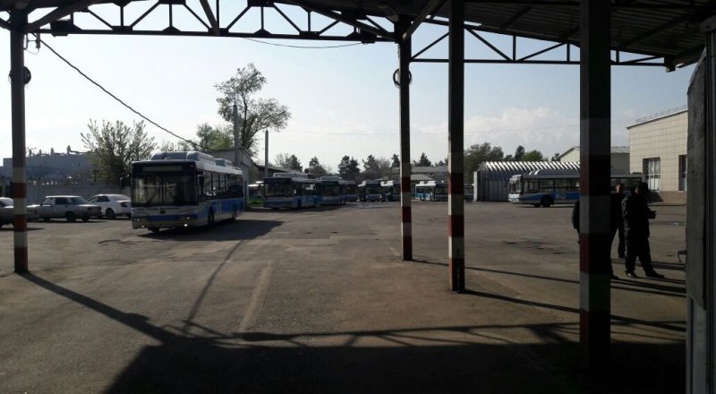 Фото © Шокан Алхабаев