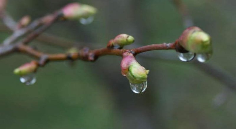Фото с сайта gazeta.ua