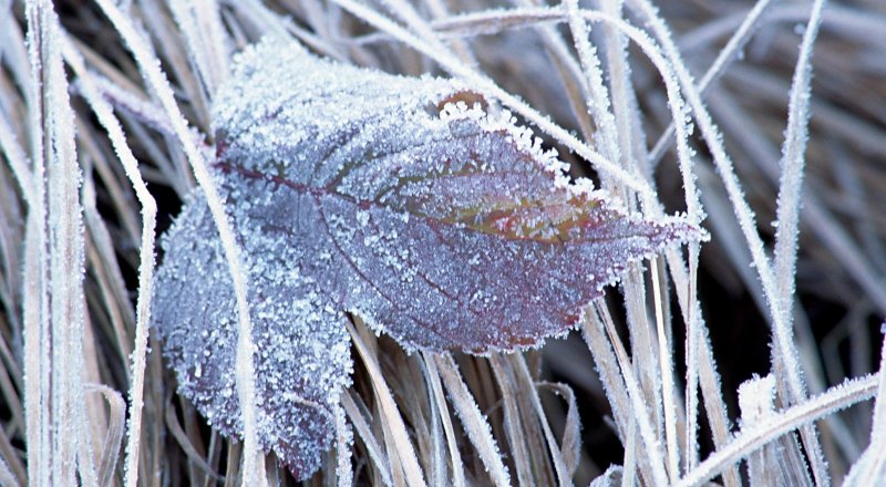 Фото с сайта sibdepo.ru