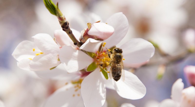 Фото Турар Казангапов