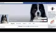 Собаки смогут вести страницу в Facebook