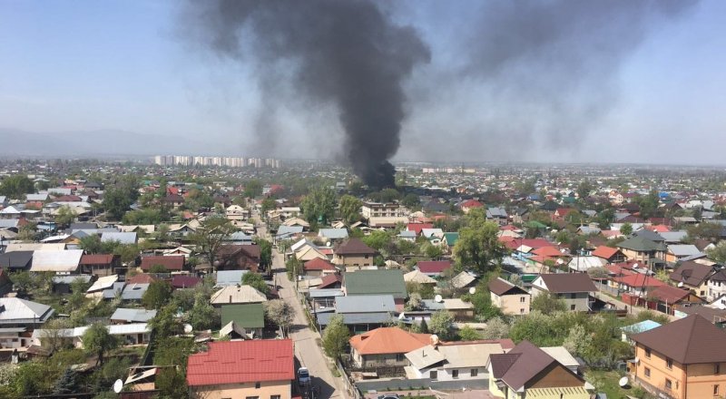 Фото предоставлено очевидцем