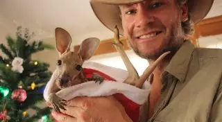 Как брутальный австралиец стал "мамой" для крошечных кенгурят