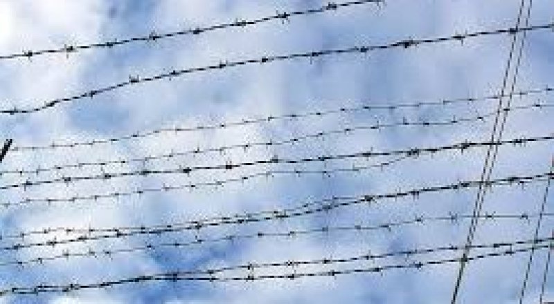 Фото из свободных источников 