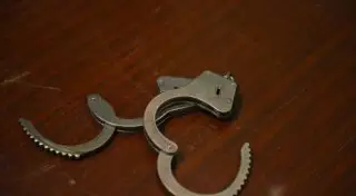 Руководители инспекции лесного хозяйства задержаны в Павлодарской области