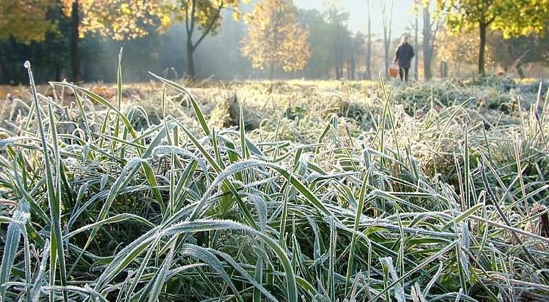 Фото с сайта orenday.ru