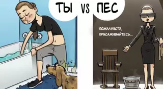 Каким собаки видят мир?