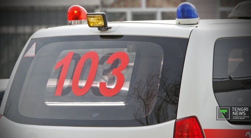 Фото © Николай Колесников