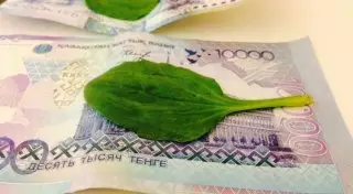 Казахстанцы пишут стихи для поддержания курса тенге