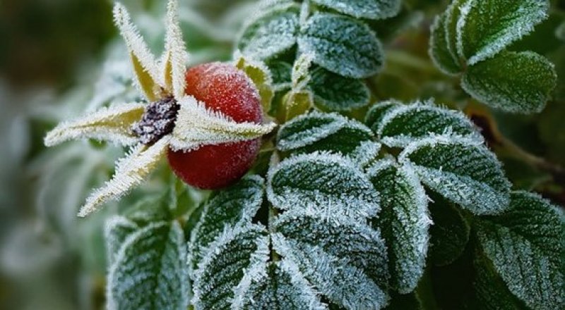 Фото с сайта severpost.ru