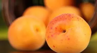 400 килограммов казахстанских абрикосов не пропустили в Россию