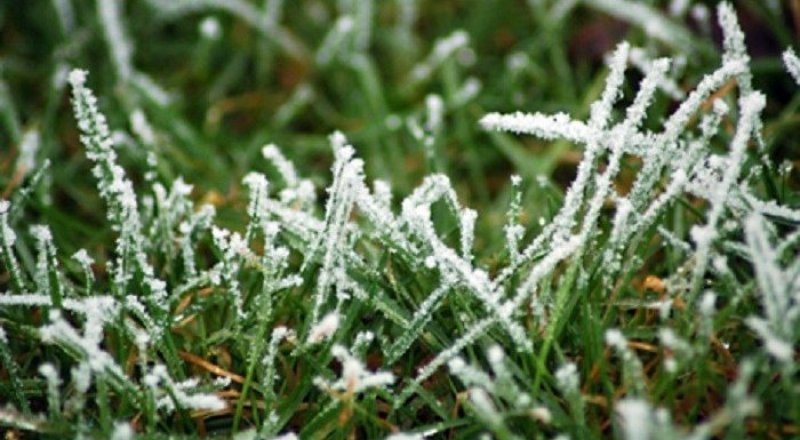 Фото с сайта yuga.ru