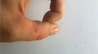 Директора школы могут наказать за щелбаны ученикам в Алматинской области