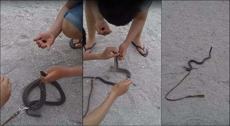 Кадры из видеоролика YouTube