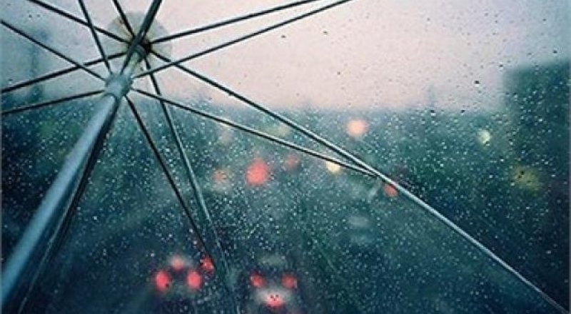 Фото с сайта newsbel.by