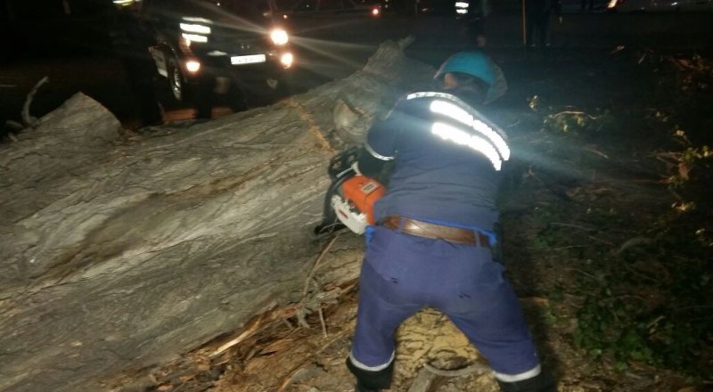 Фото программы "Территория происшествий"