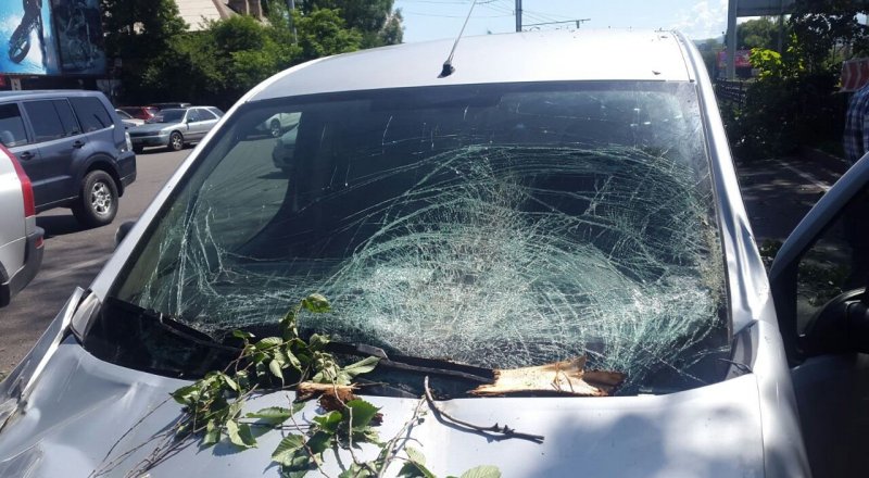 Фото программы © "Территория происшествий"