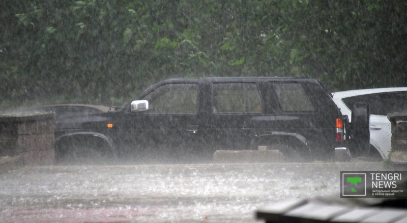 Фото Николай Колесников©