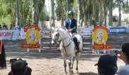 Казахстанец занял 2 место на этапе Кубка мира по конному спорту