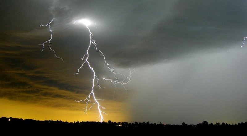 Фото Tengrinews.kz