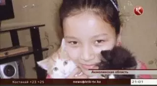 Медсестру осудили после смерти девочки в лагере в Боровом