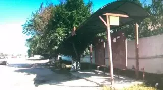 Детей, сбитых лихачом у остановки в Шымкенте, выписали из больницы