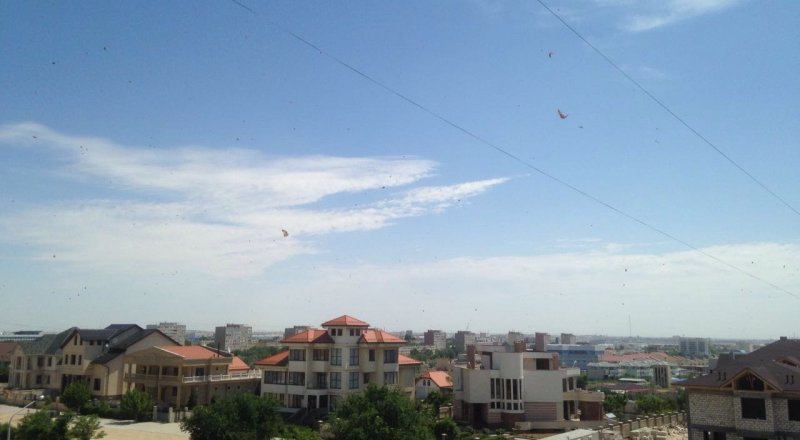 Фото Tengrinews.kz