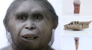 Ученые нашли останки "хоббита", жившего 700 тысяч лет назад