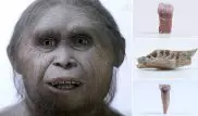 Ученые нашли останки "хоббита", жившего 700 тысяч лет назад