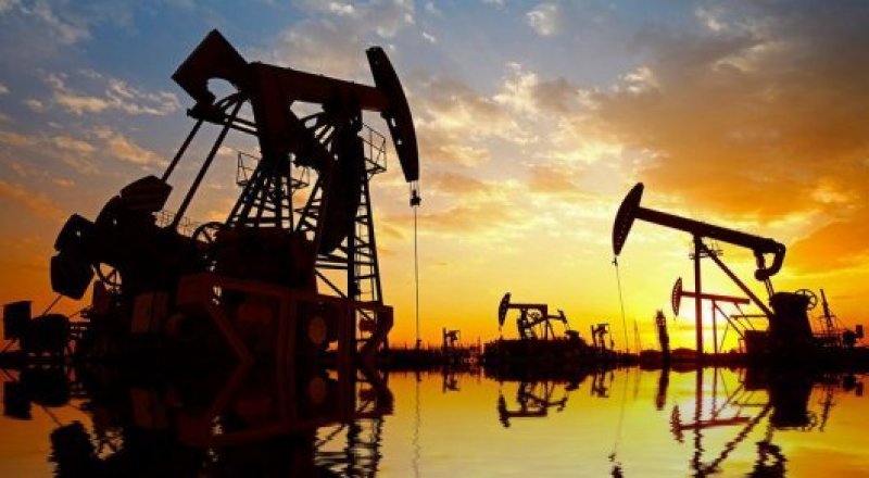 Фото Shutterstock