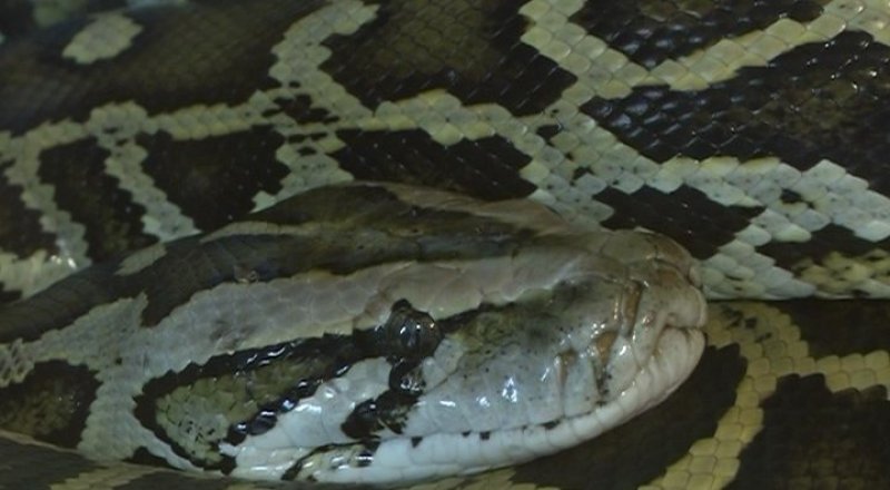 Фото Tengrinews.kz